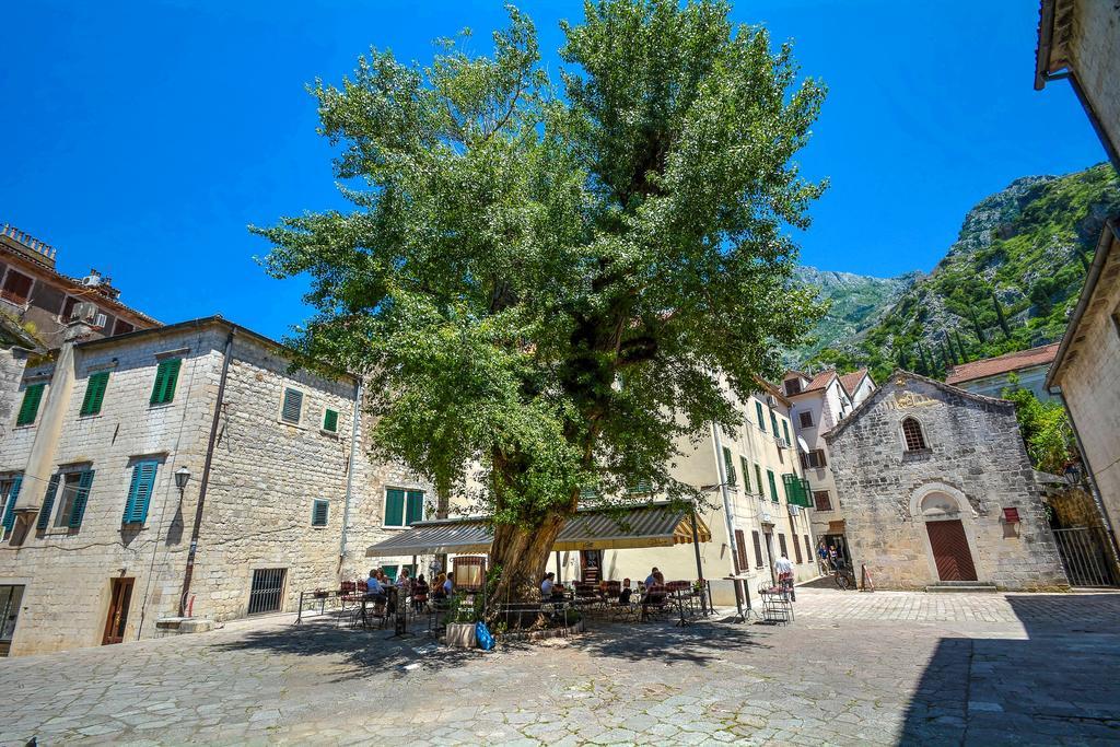 Tajami Apartments Kotor Buitenkant foto