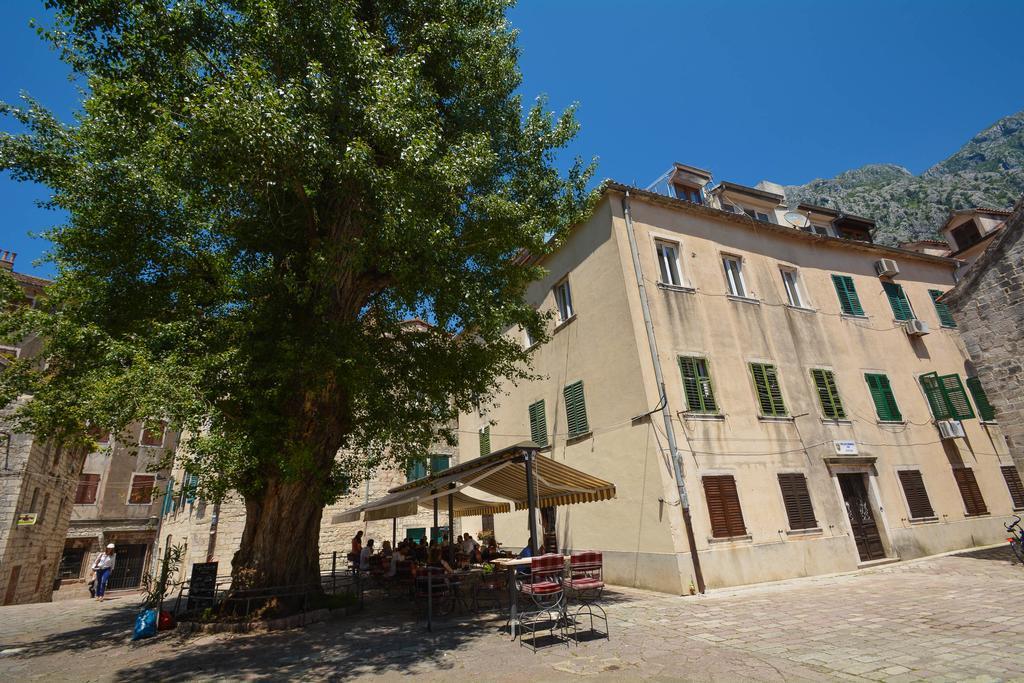 Tajami Apartments Kotor Buitenkant foto